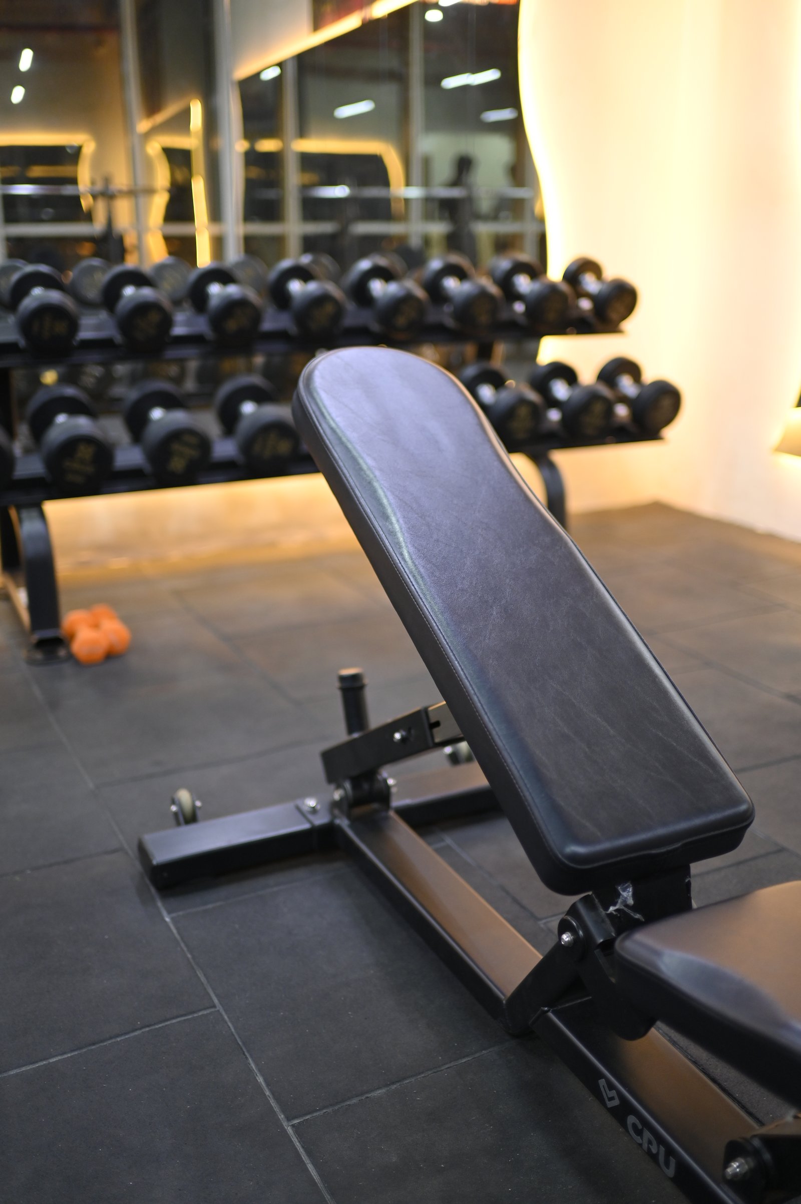 Axtreme Fit Gallery Input